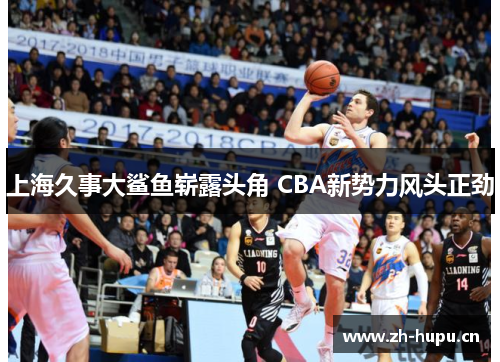 上海久事大鲨鱼崭露头角 CBA新势力风头正劲 上海久事大鲨鱼崭露头角 CBA新势力风头正劲